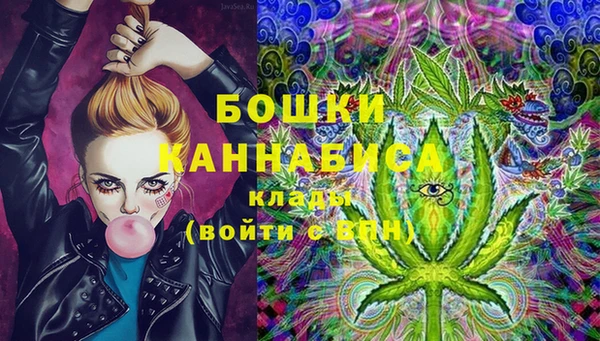 mix Богородицк