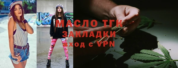 mix Богородицк