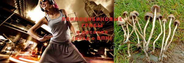 mix Богородицк
