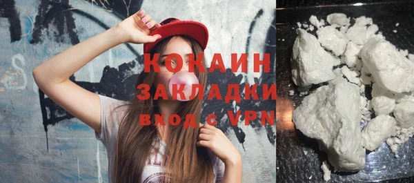 mix Богородицк