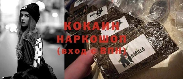 mix Богородицк