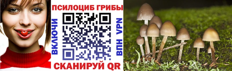 мориарти состав  Мурманск  Галлюциногенные грибы ЛСД  цены  
